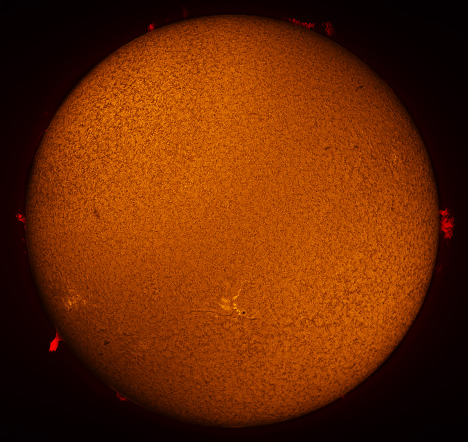 Solar Disk in h-alpha 07/21/2012 with DMK51AU02.AS camera
