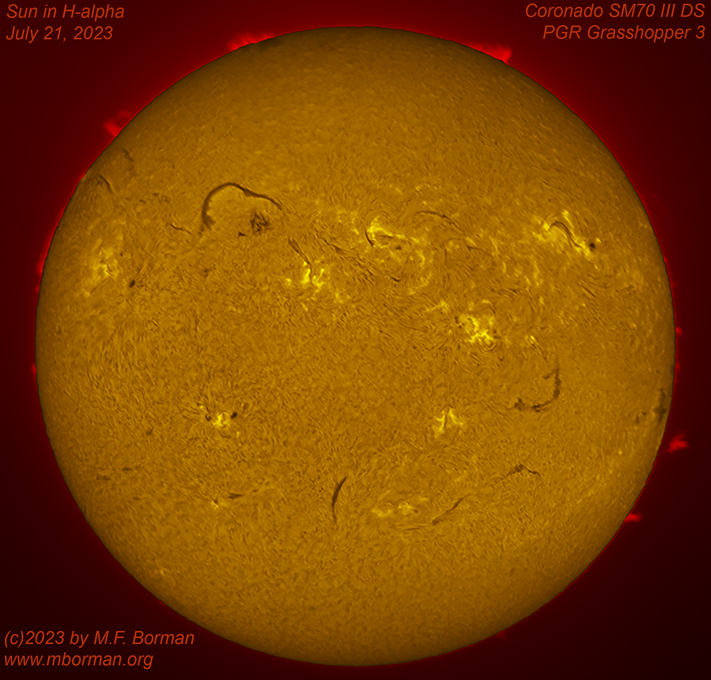 Solar disk in h-alpha 07/21/2023