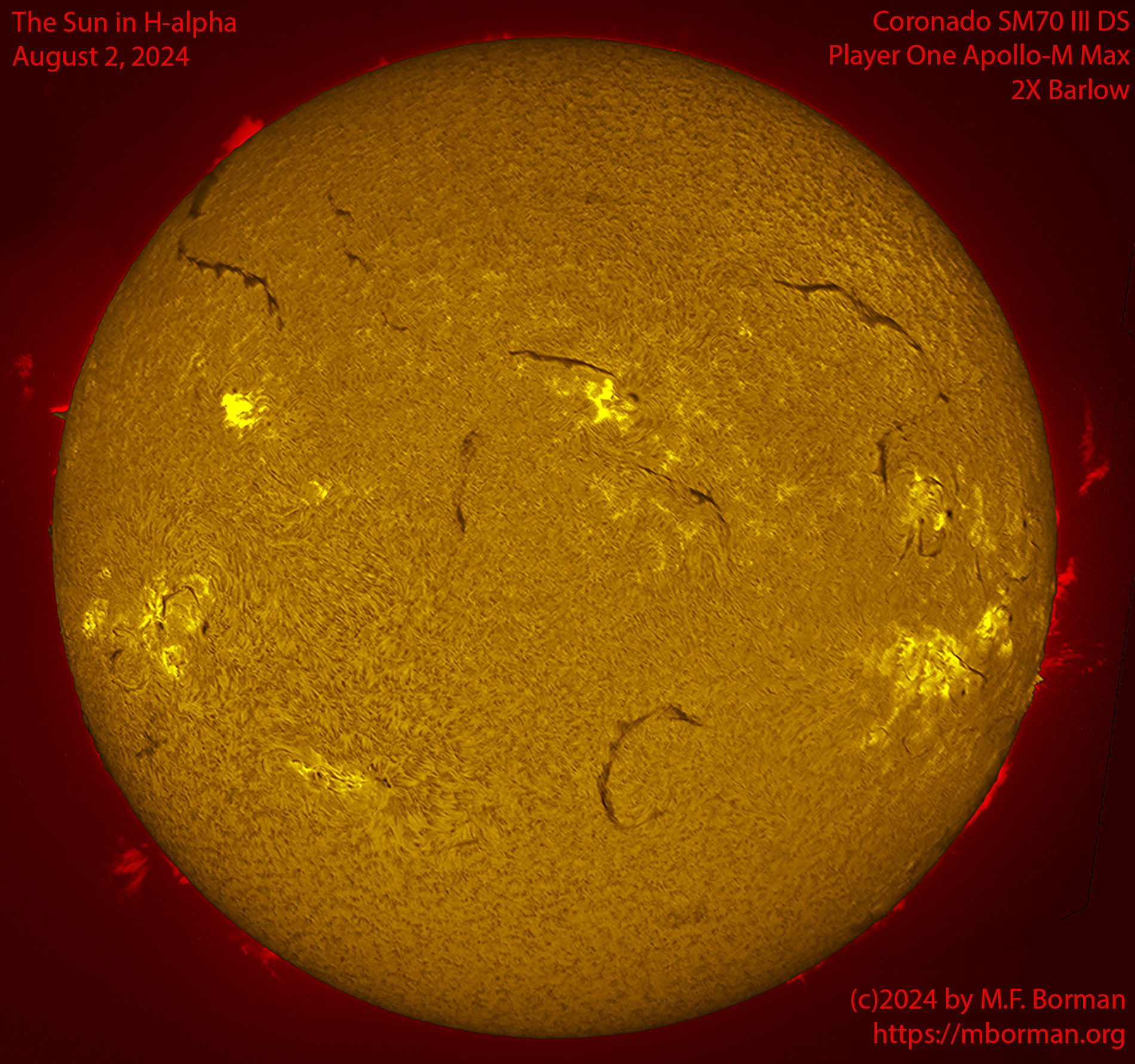 Solar image in h-alpha 08/02/24