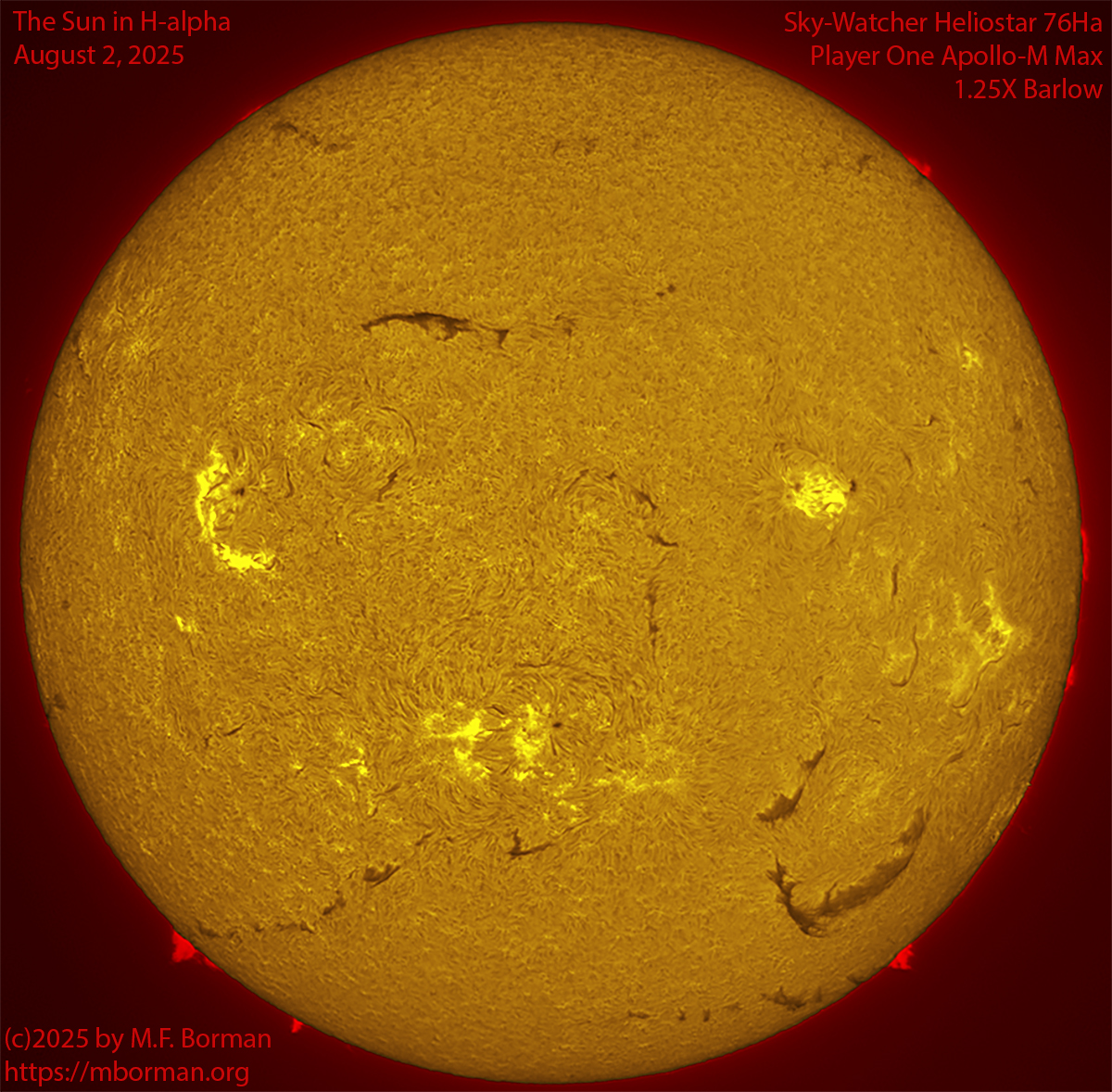 Solar image in h-alpha 08/02/25
