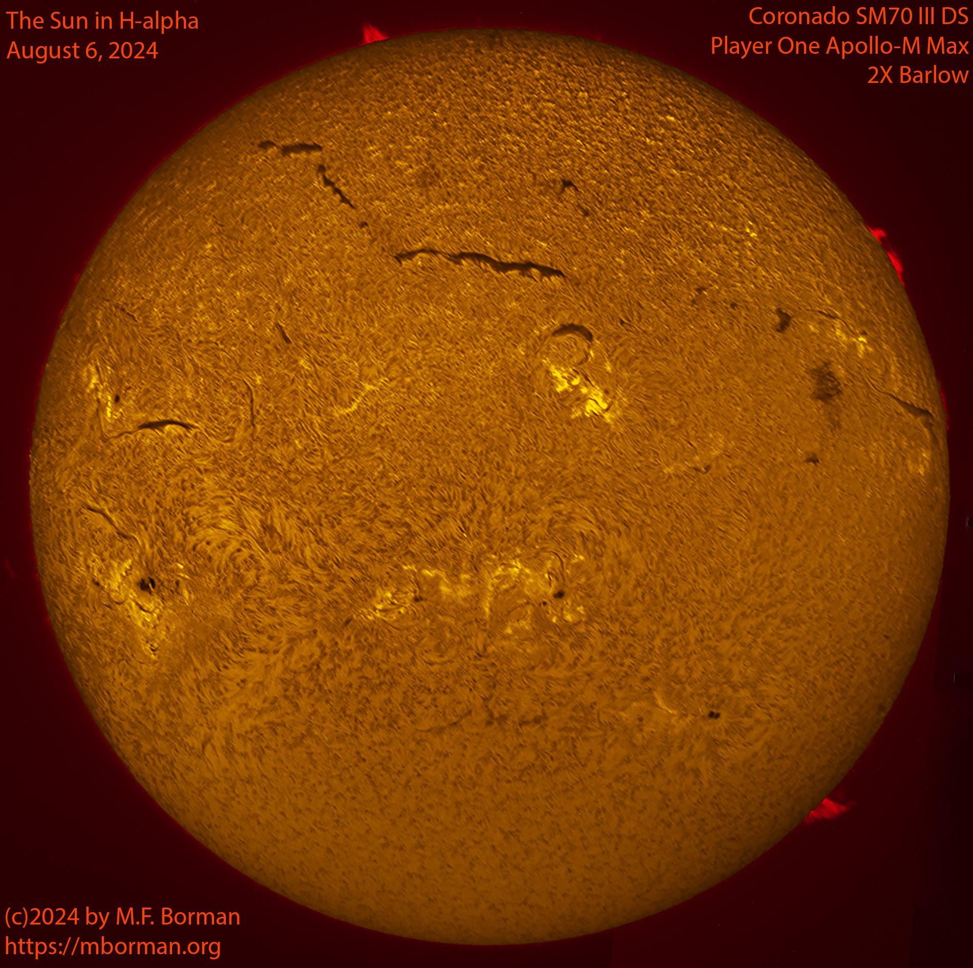 Solar image in h-alpha 08/06/24