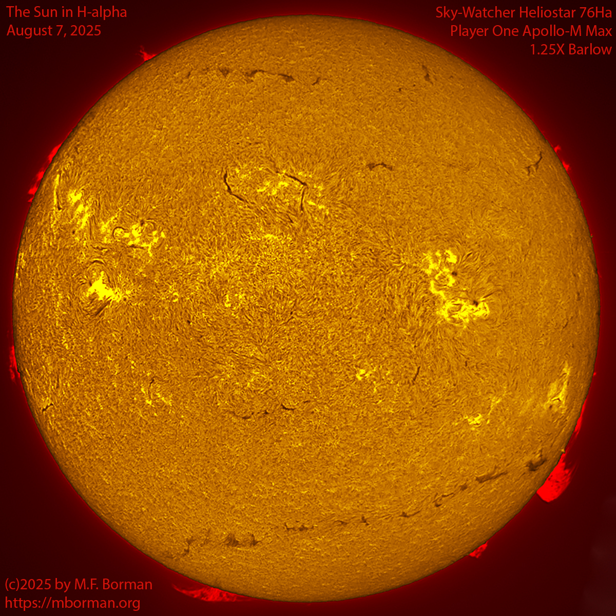 Solar image in h-alpha 08/07/25