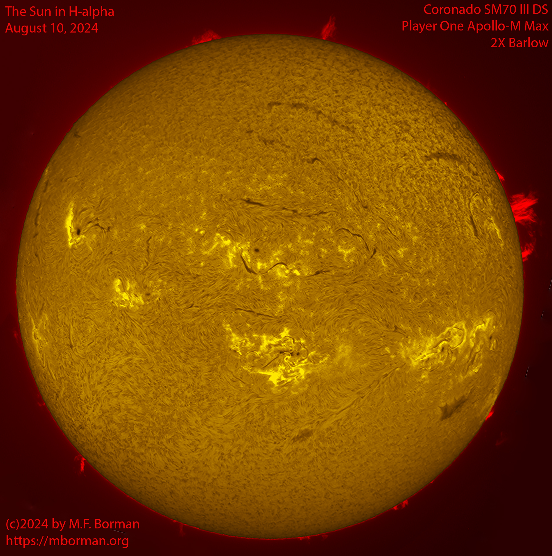 Solar image in h-alpha 08/10/24