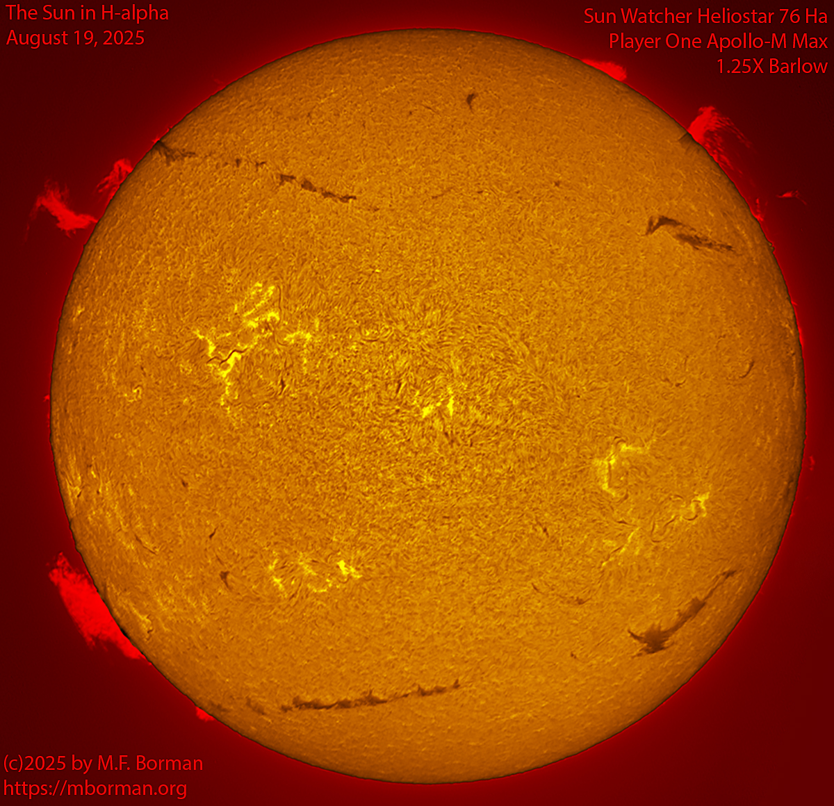 Solar image in h-alpha 08/19/25