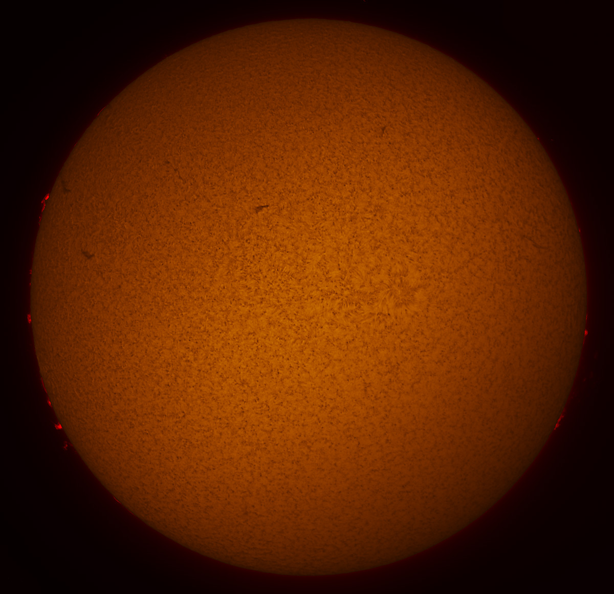 Solar Disk in h-alpha 08/21/2016