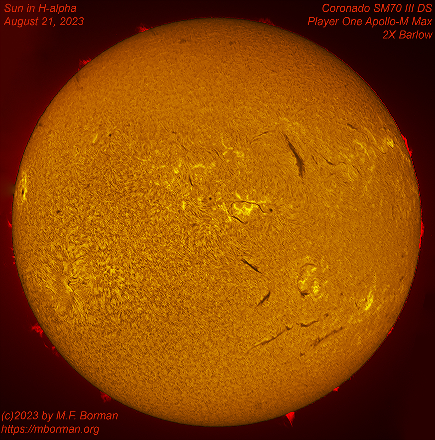 Solar disk in h-alpha 08/21/2023