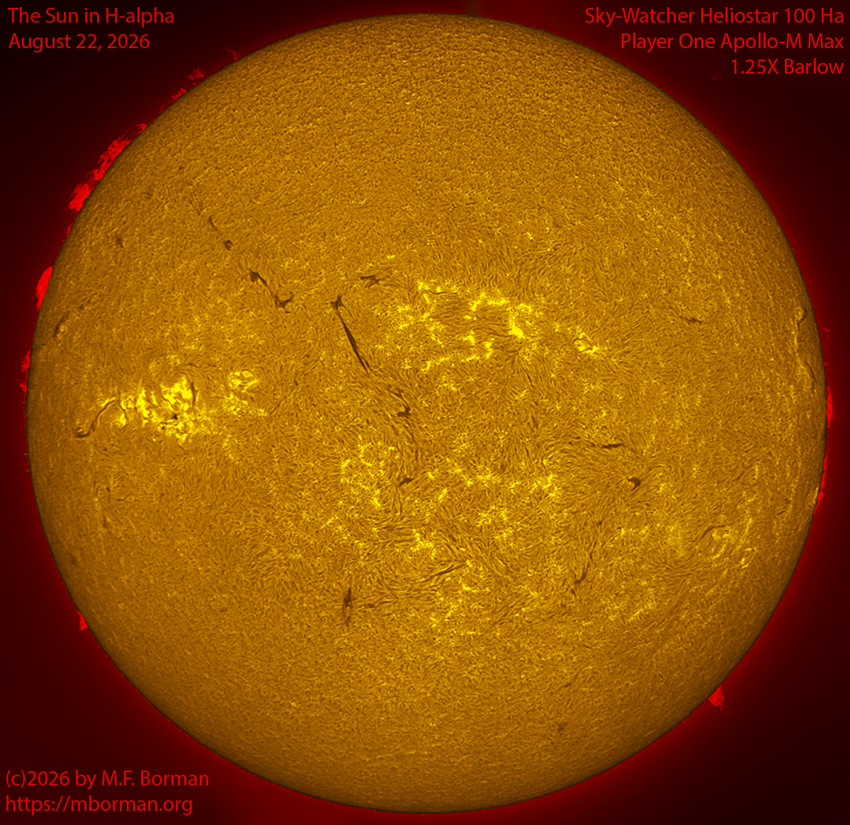 Solar image in h-alpha 08/22/26