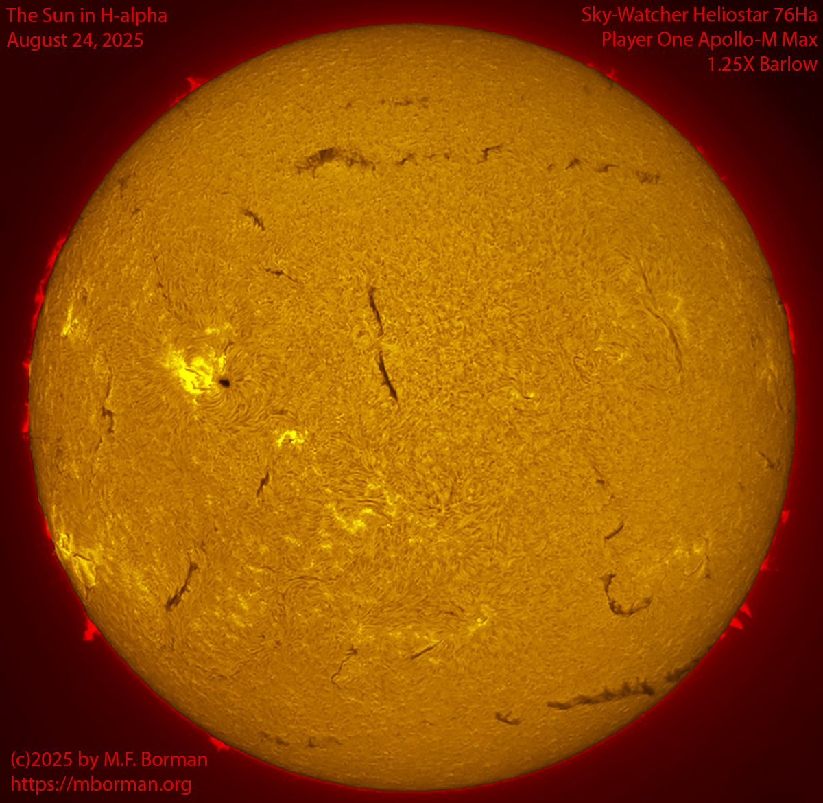 Solar image in h-alpha 08/24/25