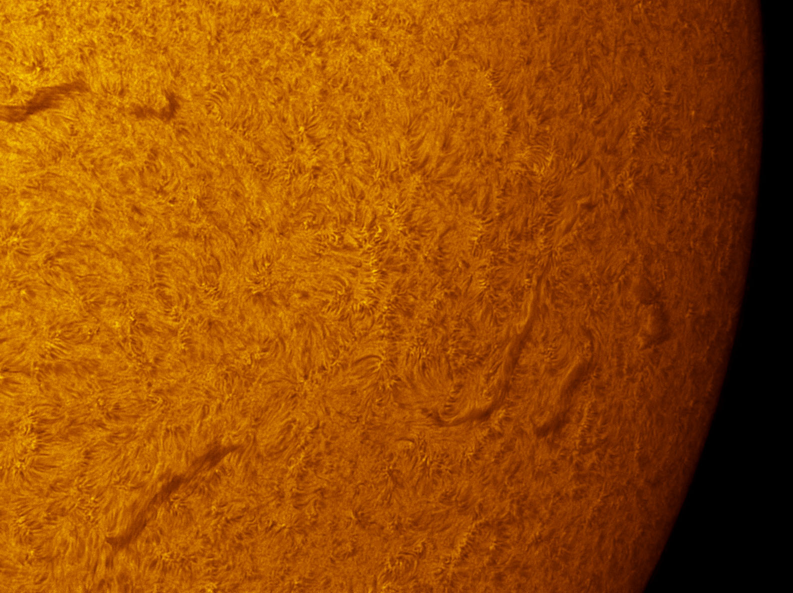 Some filaments in h-alpha 08/25/2012
