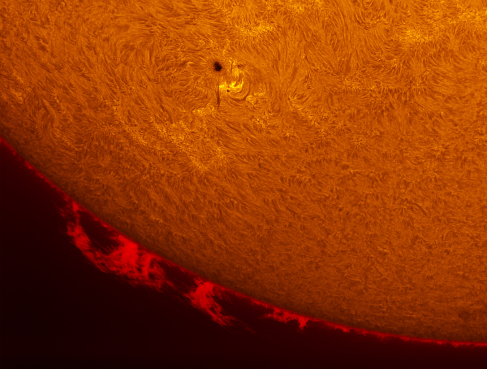 Sunspot 1553 and a prominence in h-alpha 08/25/2012