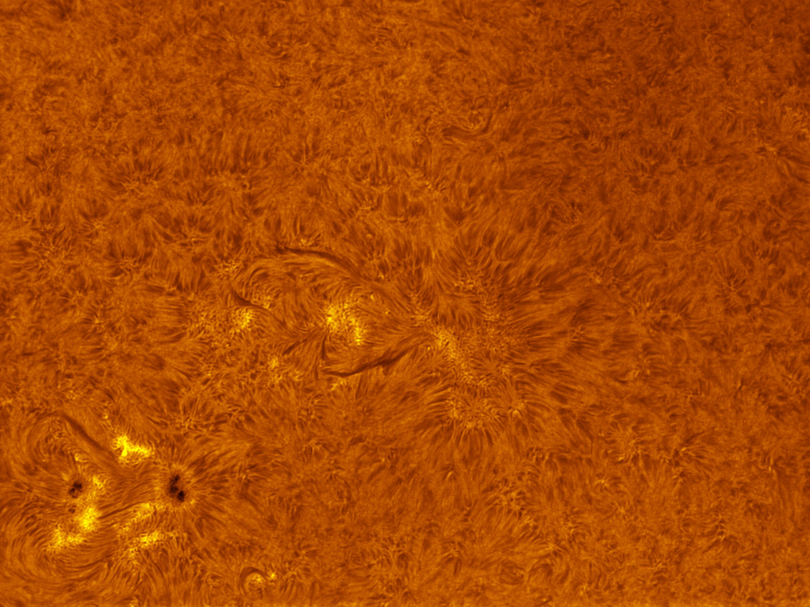 Sunspot 1548 in h-alpha 08/25/2012