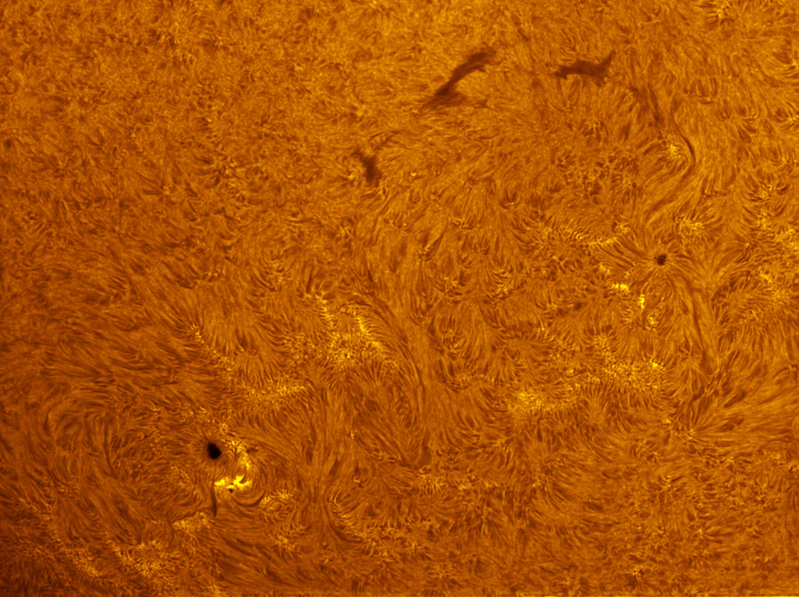 Sunspots 1552 and 1553 in h-alpha 08/25/2012