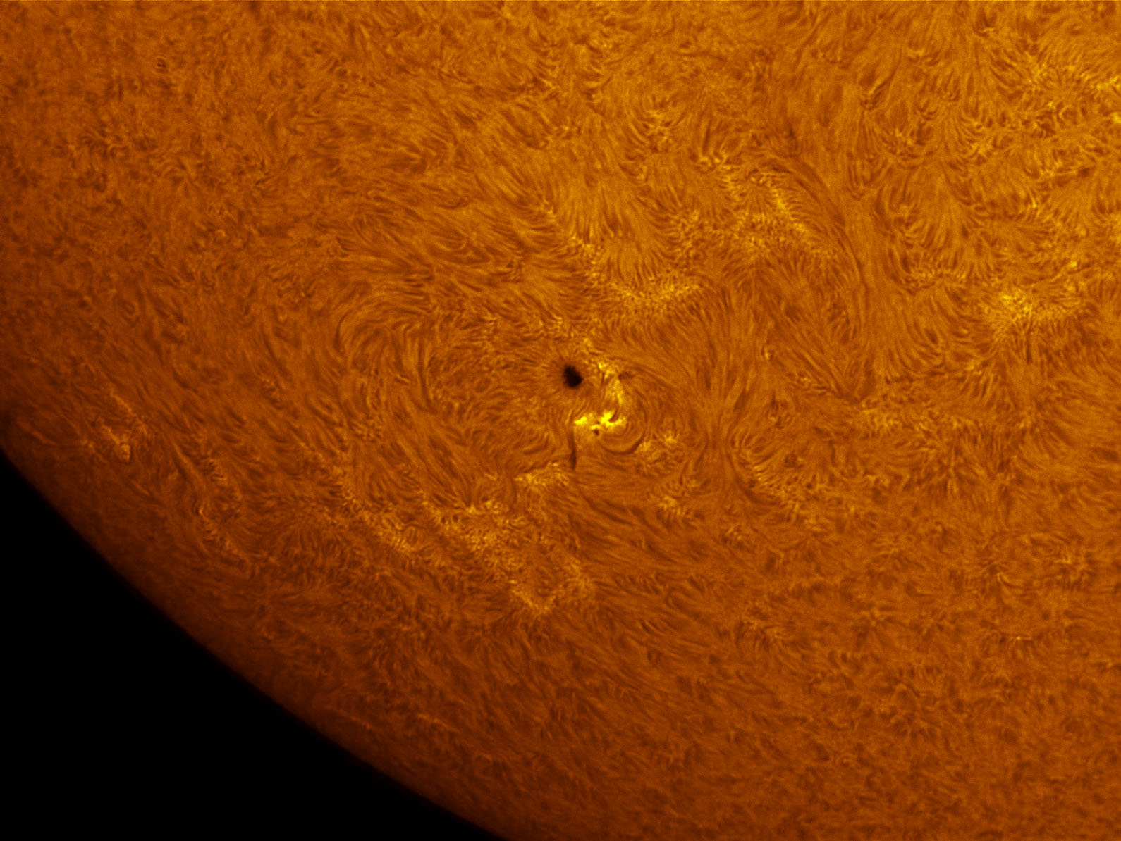 Sunspot 1553 in h-alpha 08/25/2012
