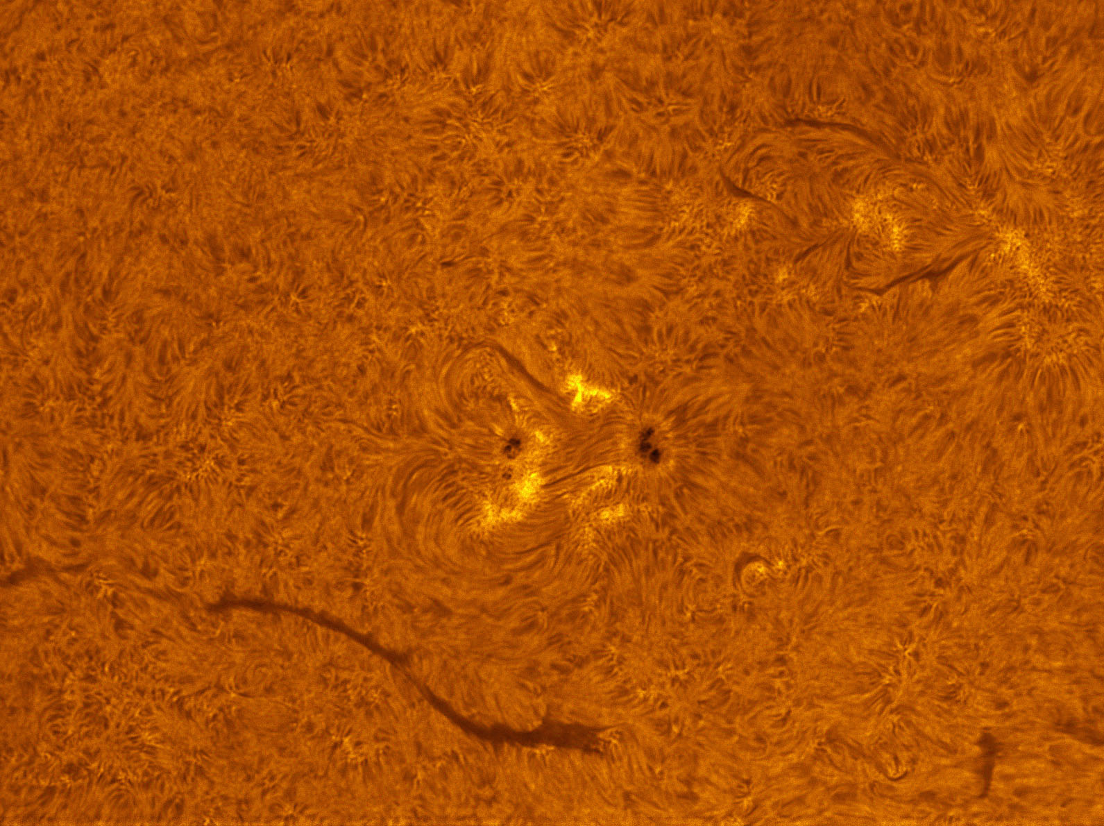 Sunspot 1554 in h-alpha 08/25/2012