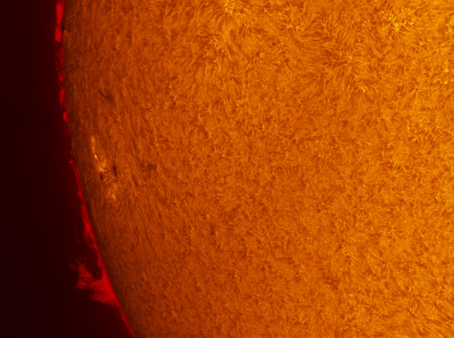 Sunspot 1555 and a prominence in h-alpha 08/25/2012