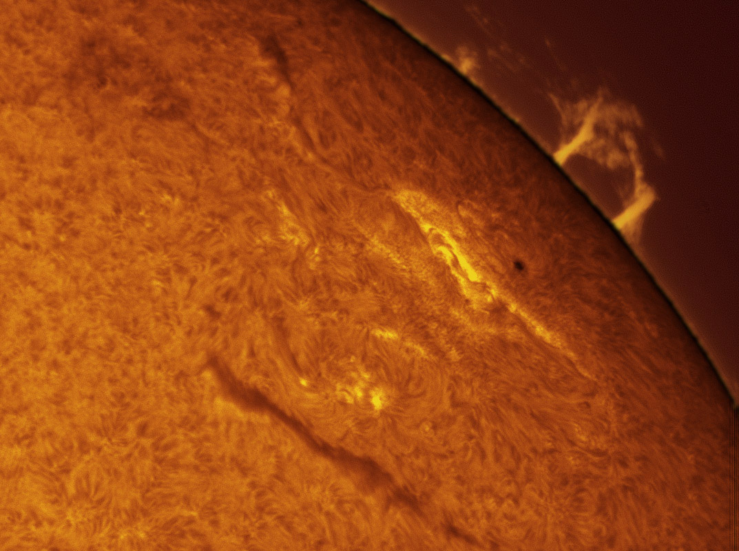 Sunspot 1271 and 1278 in h-alpha 8/26/2011