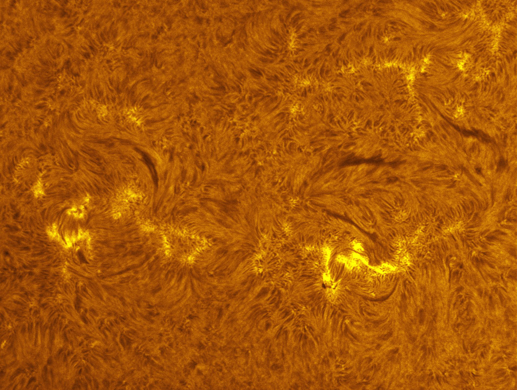 Sunspot 1275 in h-alpha 8/26/2011