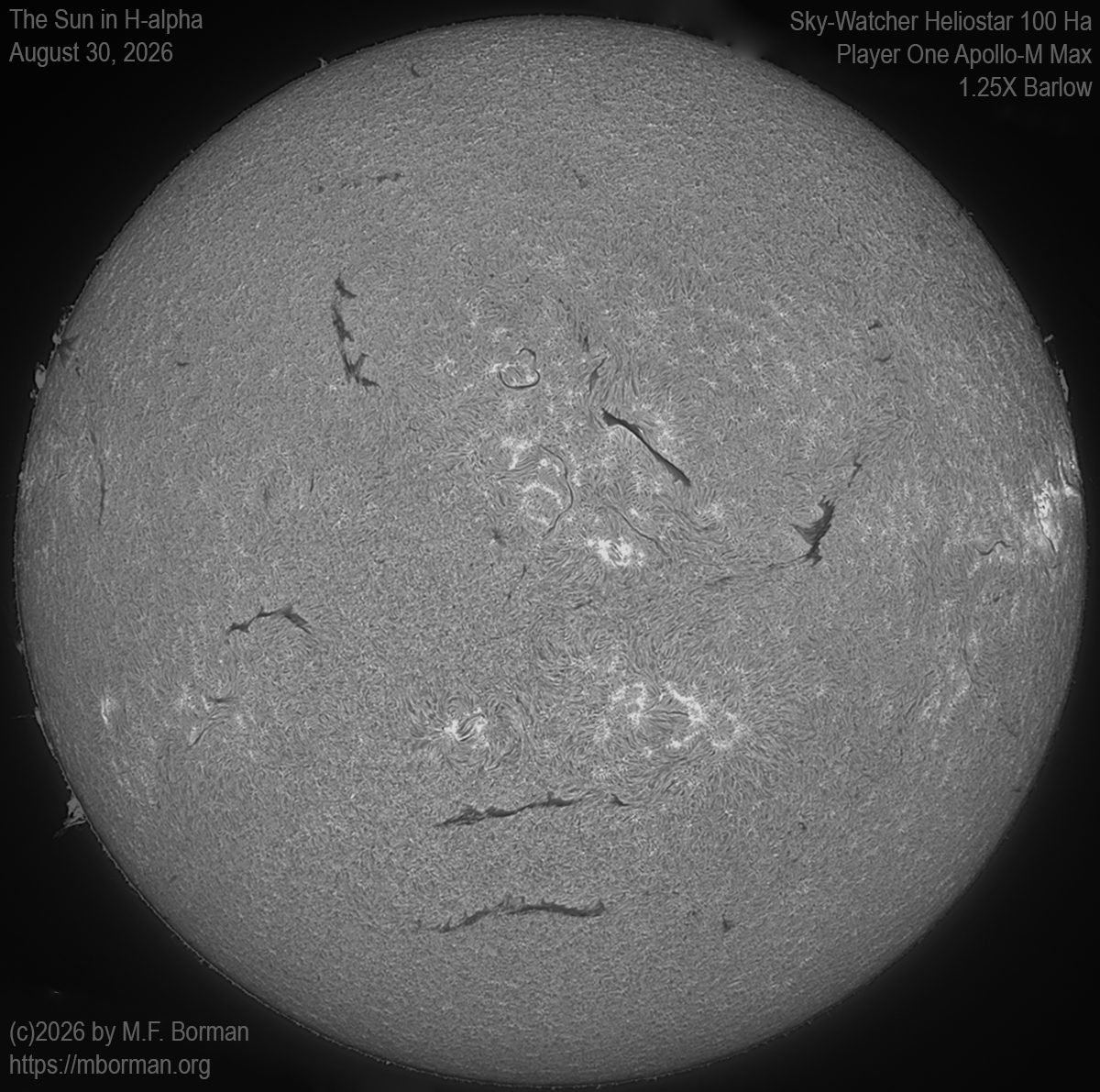 Solar image in h-alpha 08/30/26