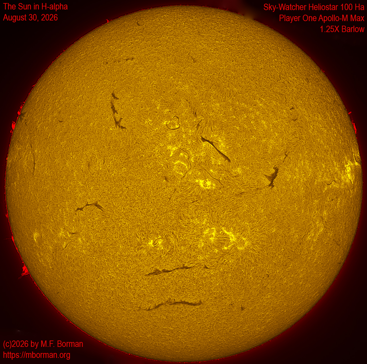Solar image in h-alpha 08/30/26