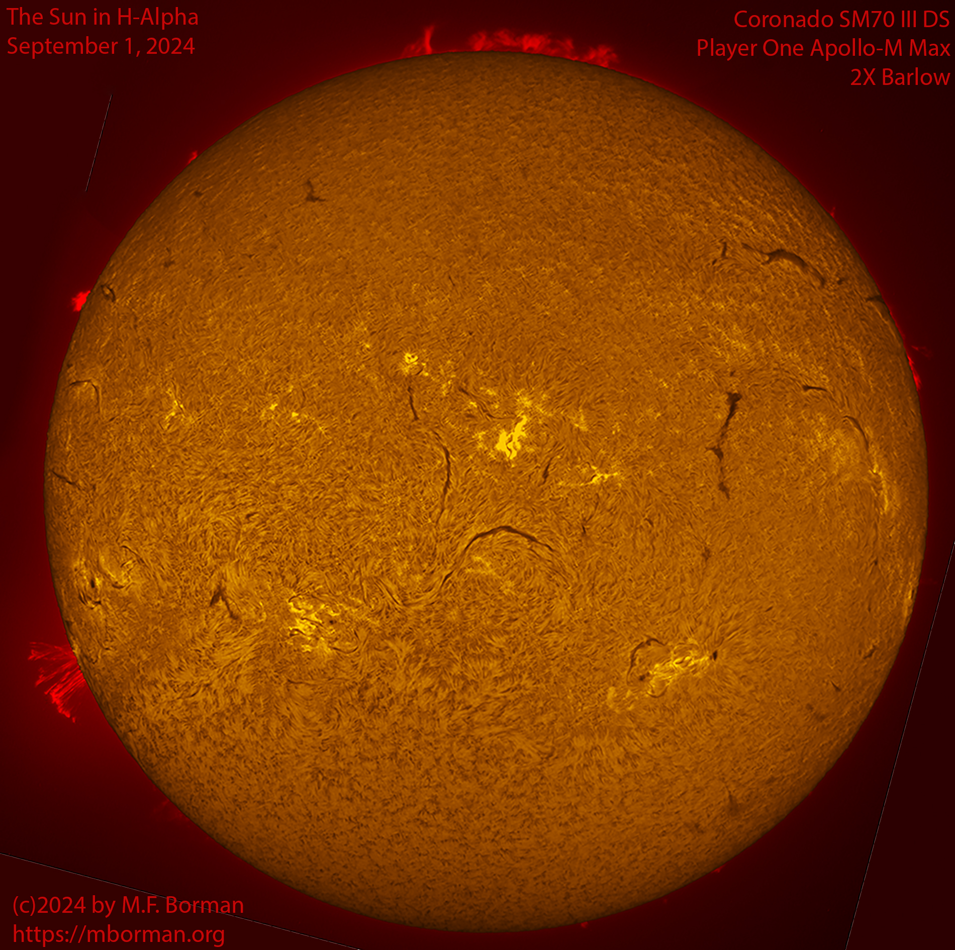 Solar image in h-alpha 09/01/24