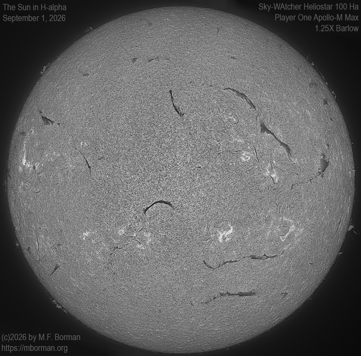 Solar image in h-alpha 09/01/26