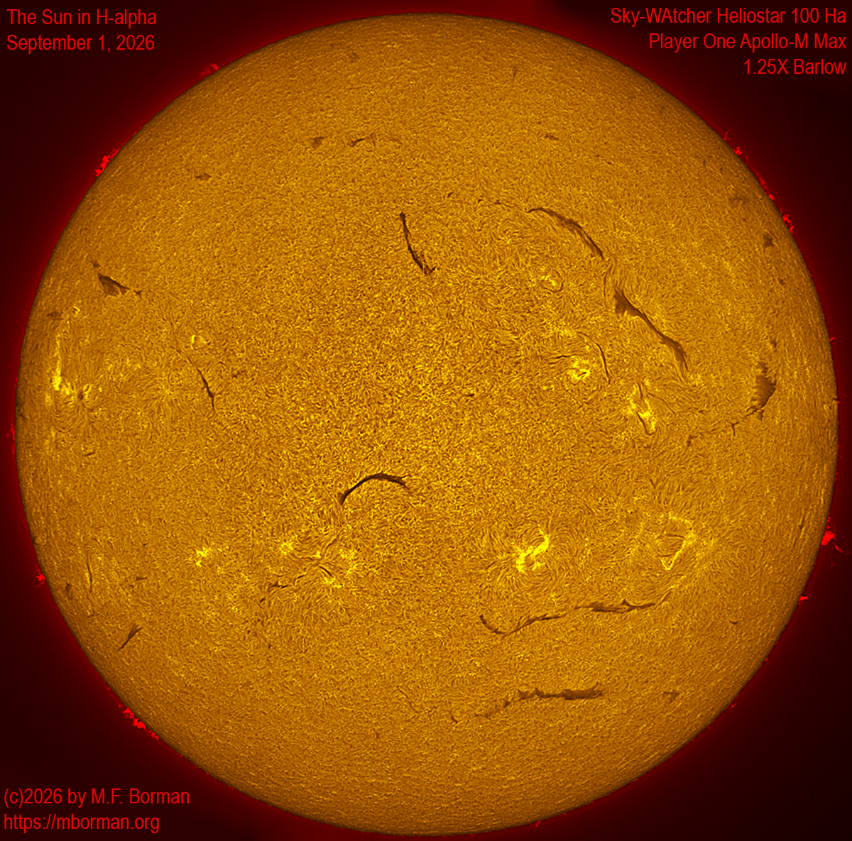Solar image in h-alpha 09/01/26