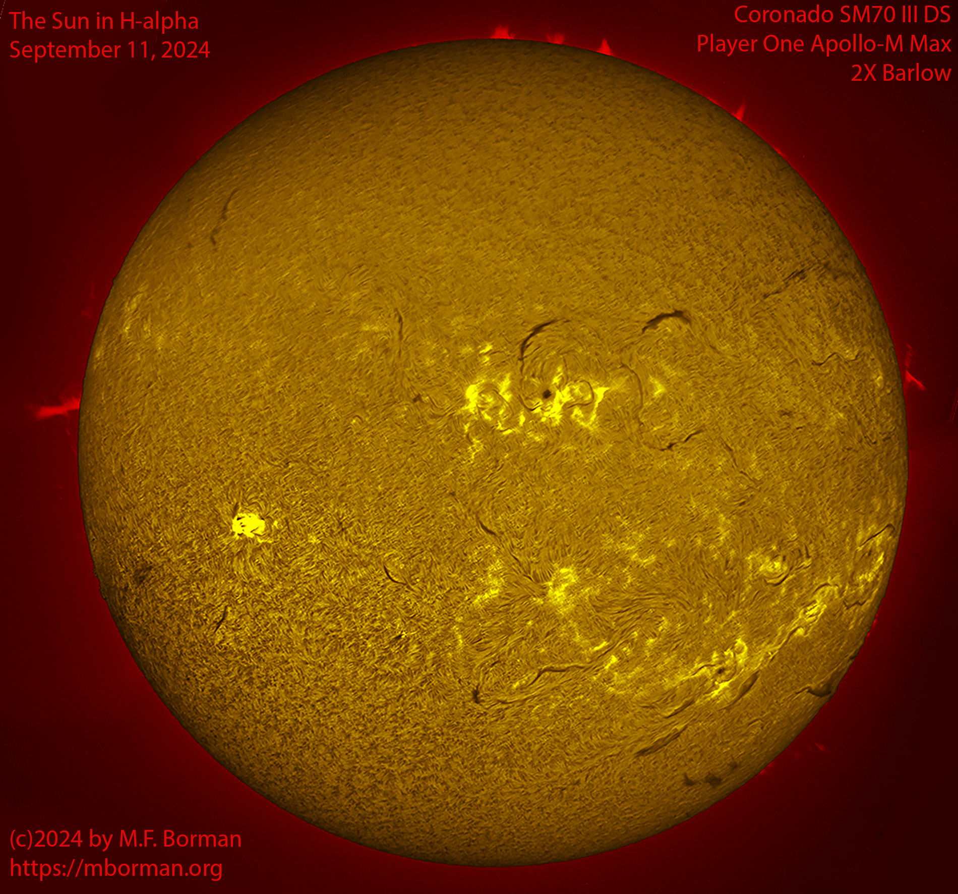 Solar image in h-alpha 09/11/24
