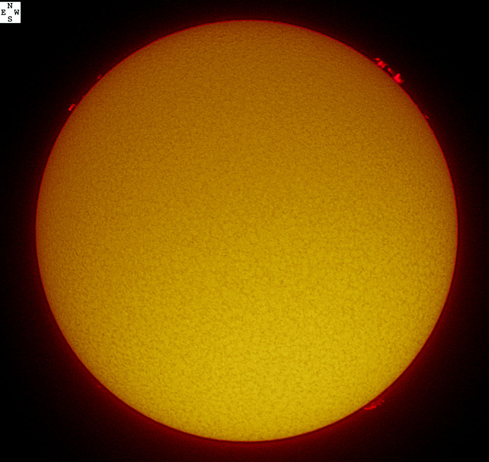 Solar disk in h-alpha 09/12/2009
