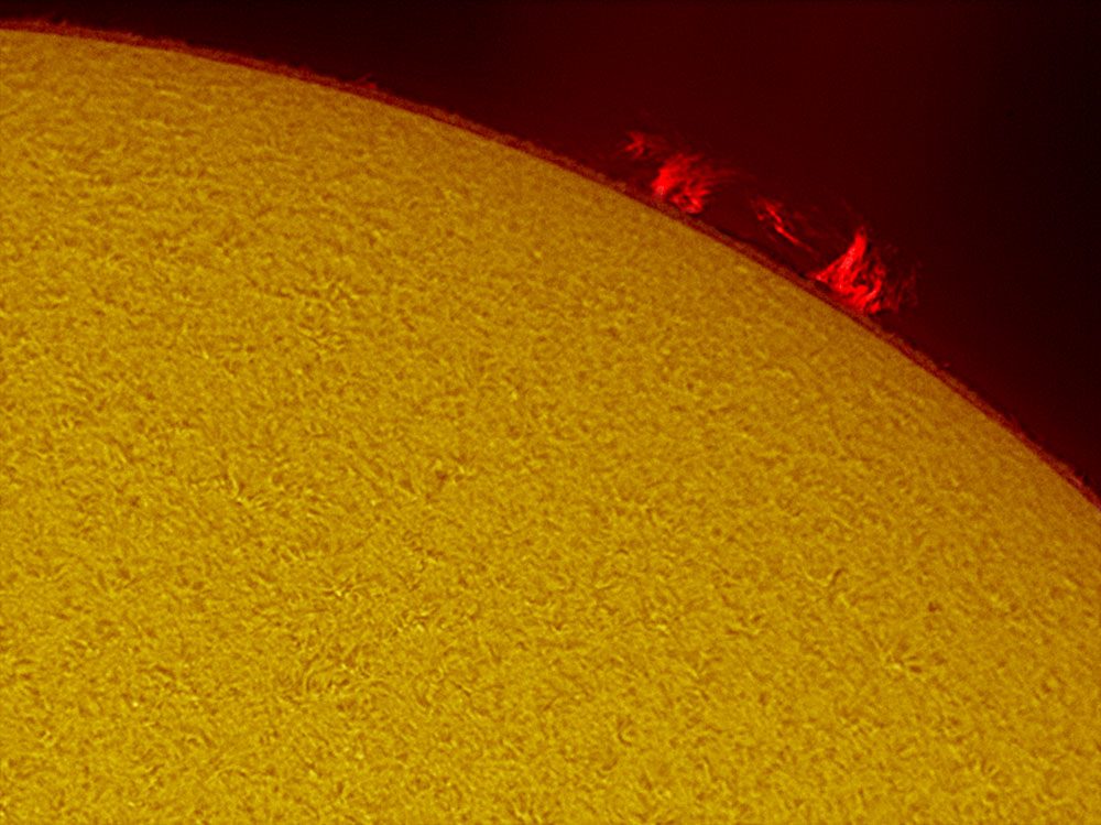 Solar prominence in h-alpha 09/12/2009