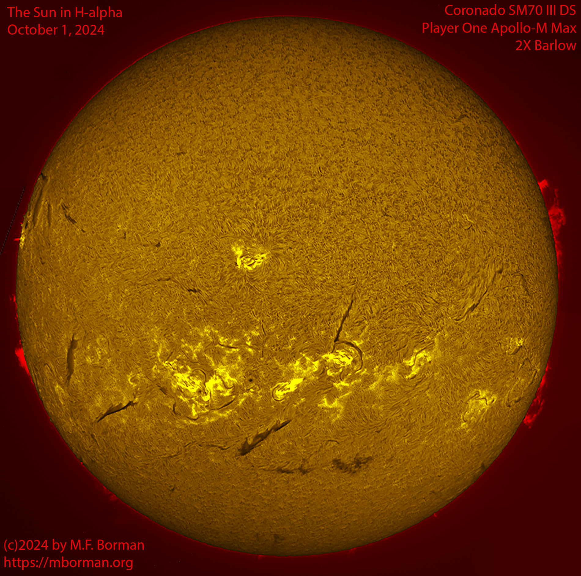 Solar image in h-alpha 10/01/24