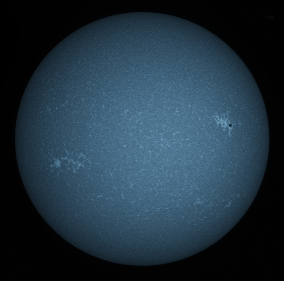 Solar Disk in CaK 10/04/2015