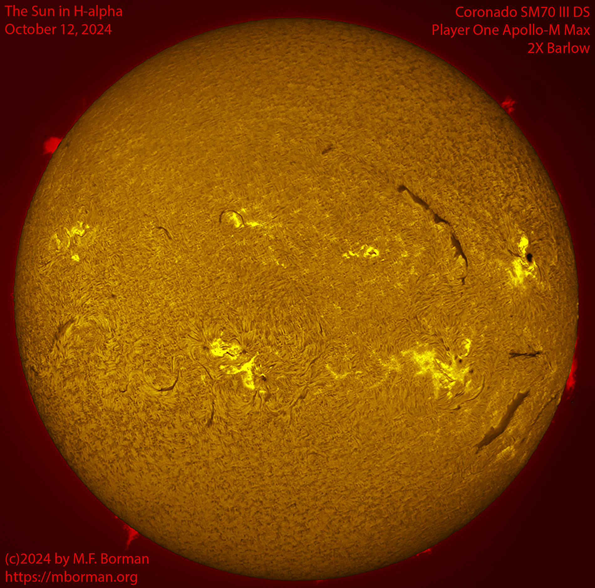 Solar image in h-alpha 10/12/24