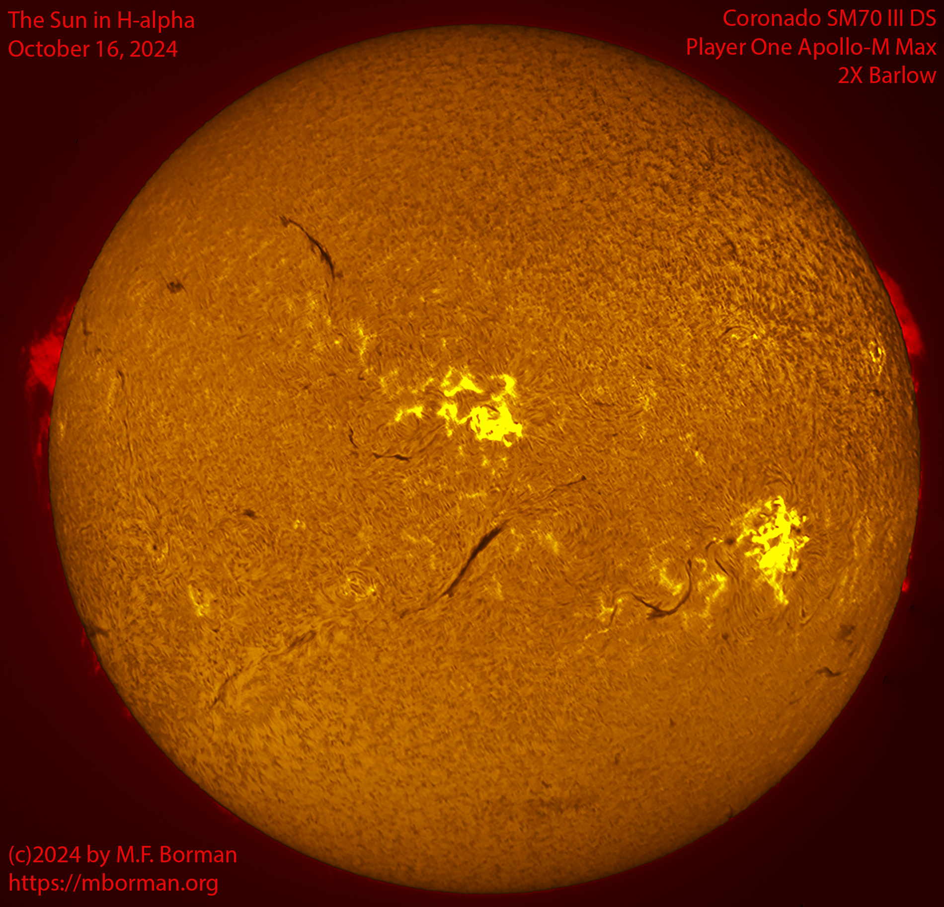 Solar image in h-alpha 10/16/24