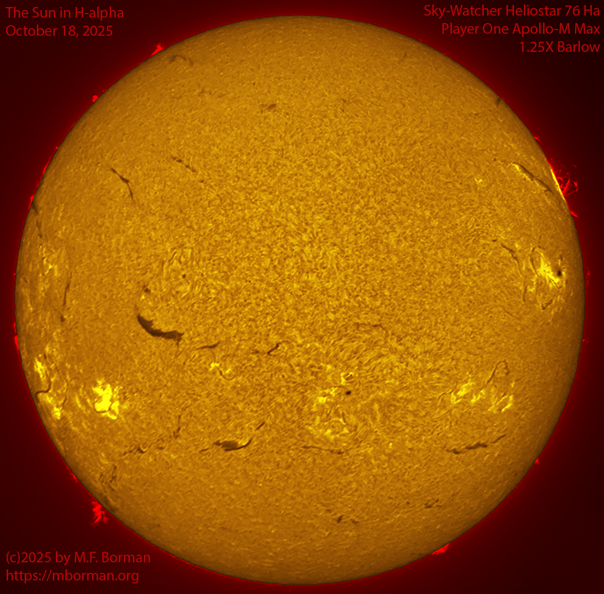 Solar image in h-alpha 10/18/25