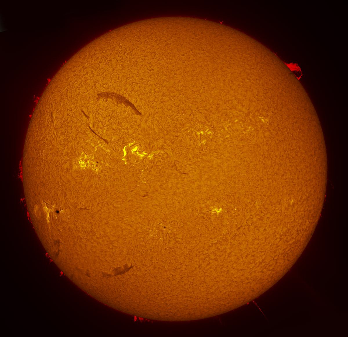 Solar Disk in h-alpha 10/20/2013