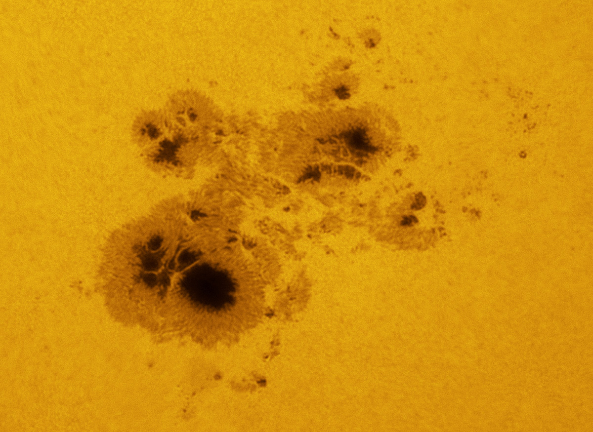 Huge Sunspot 12192 in white light 10/23/2014