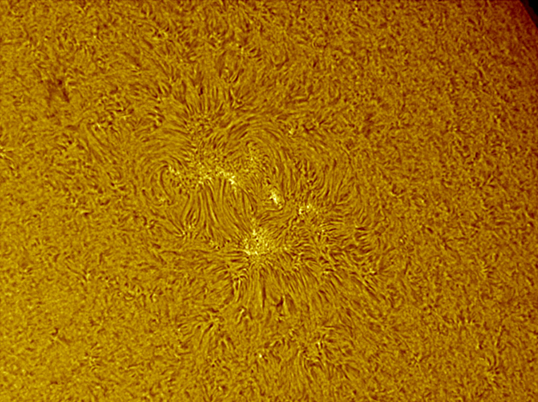 Sunspot 1026 in h-alpha 09/27/2009