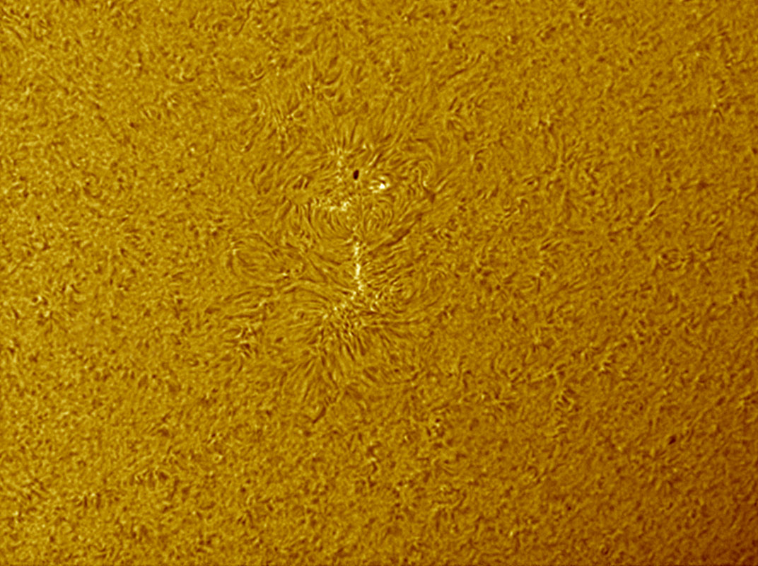 Sunspot 1027 in h-alpha 09/27/2009