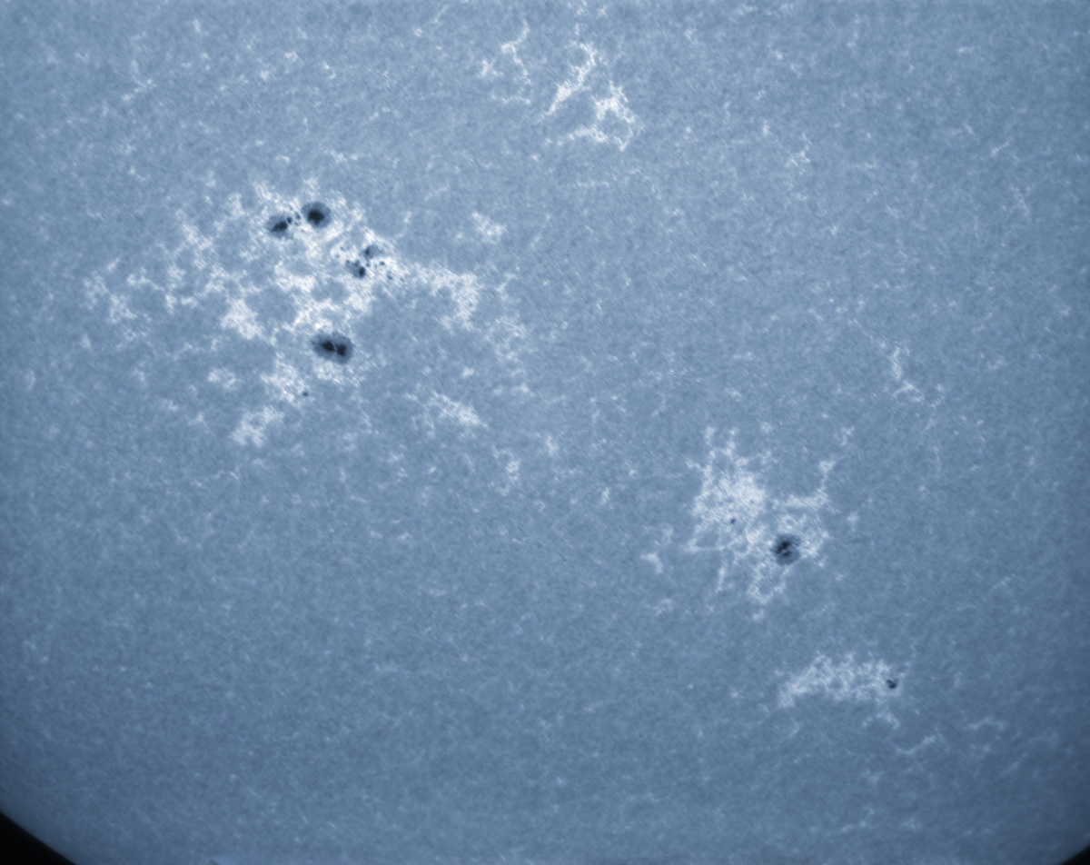 Sunspots 1882, 1884, 1885 and 1888 in CaK 11/01/2013