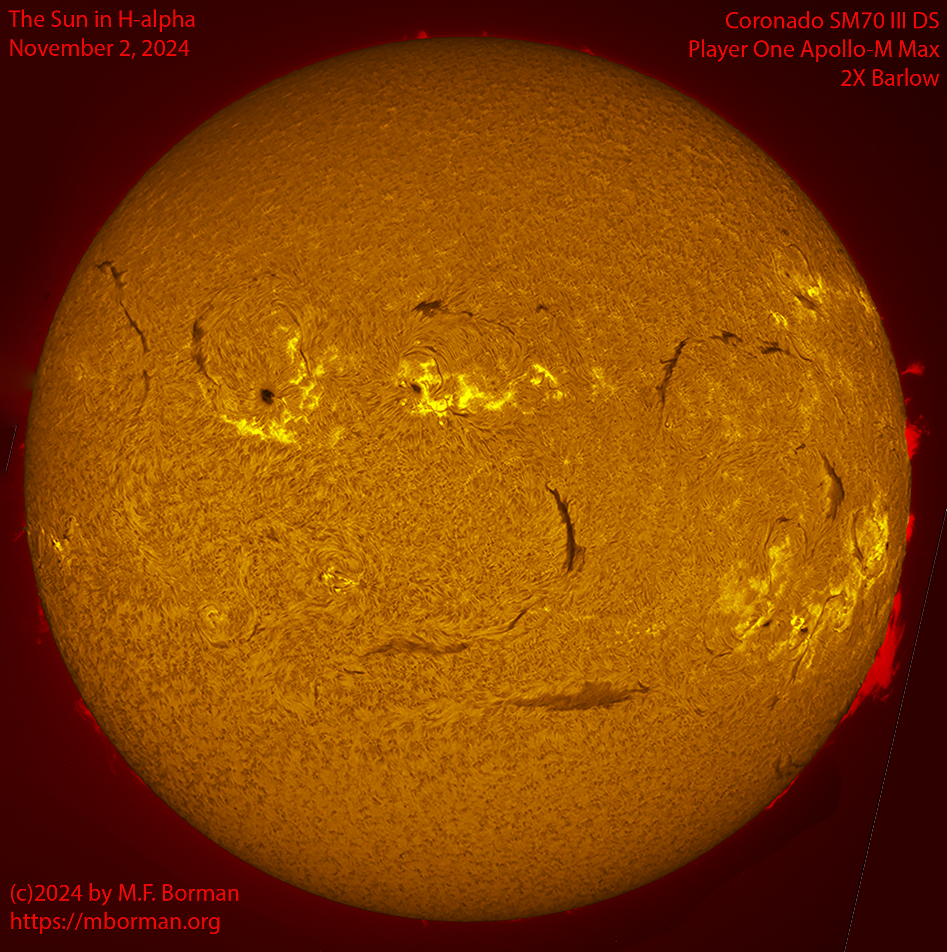 Solar image in h-alpha 11/02/24