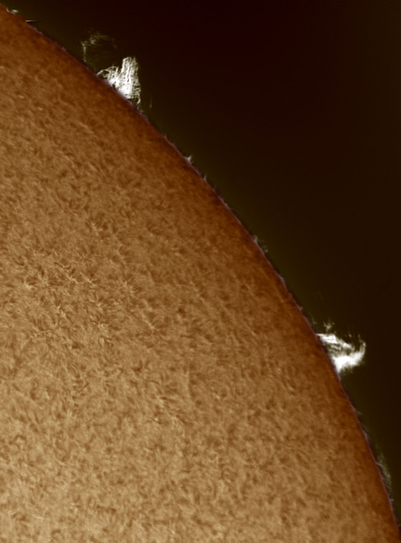 Solar prominences in h-alpha 11/07/2010