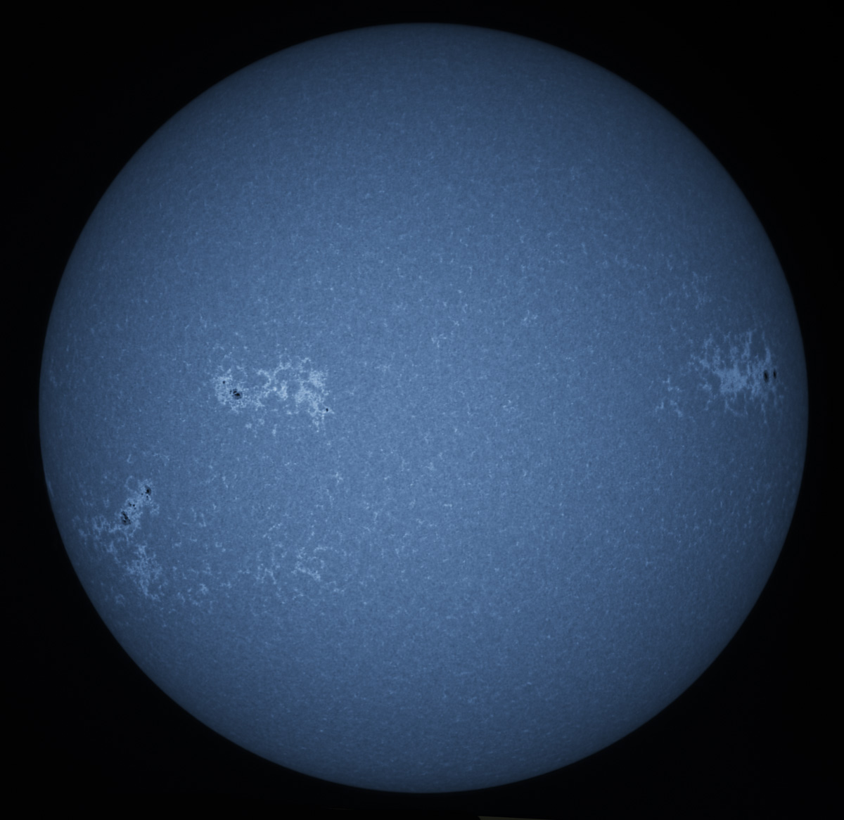 Solar Disk in CaK 11/08/2015