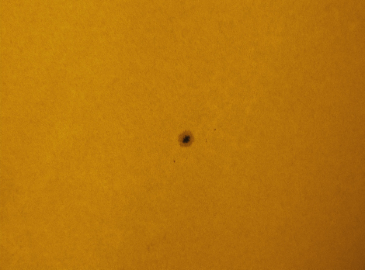 Sunspot 1613 in white light 11/17/2012