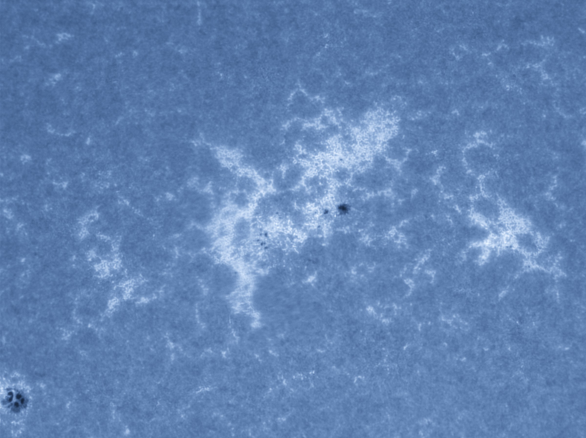 Sunspot 1614 in CaK 11/17/2012