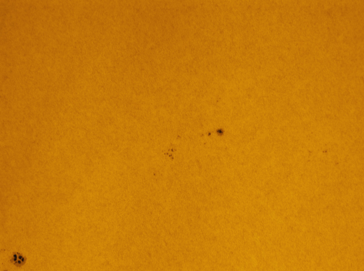 Sunspot 1614 in white light 11/17/2012
