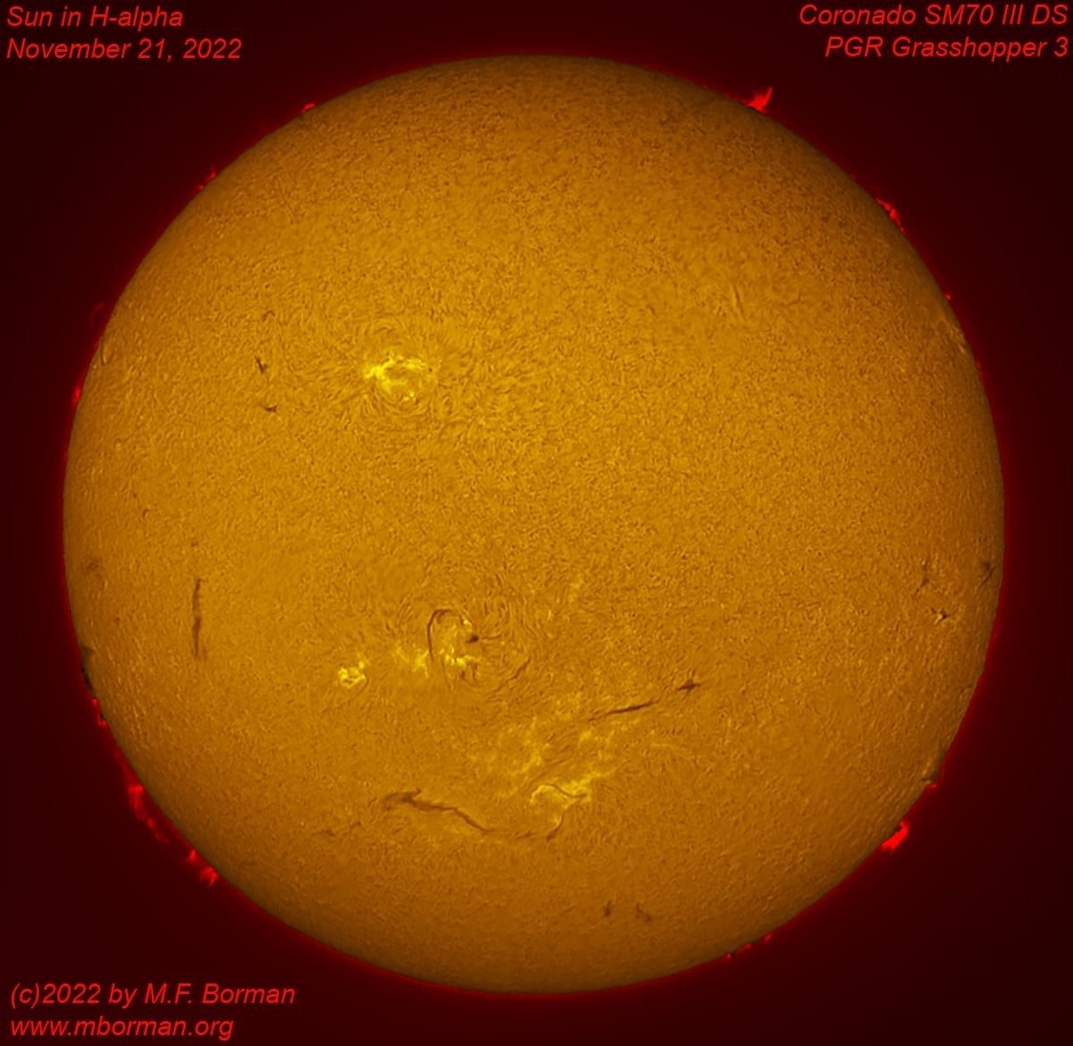 Solar disk in h-alpha 11/21/2022