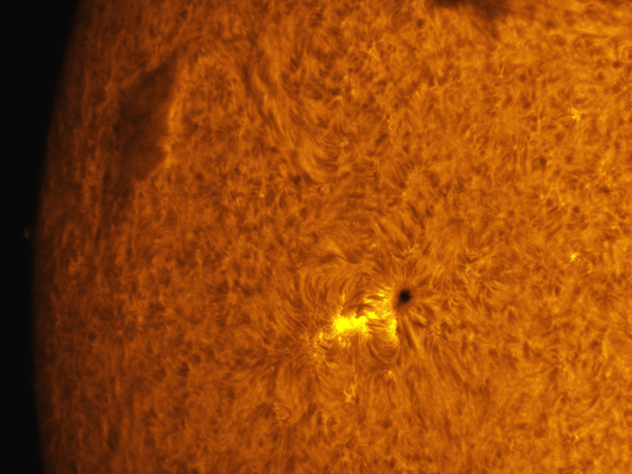 Sunspot 1375 in h-alpha 12/10/2011