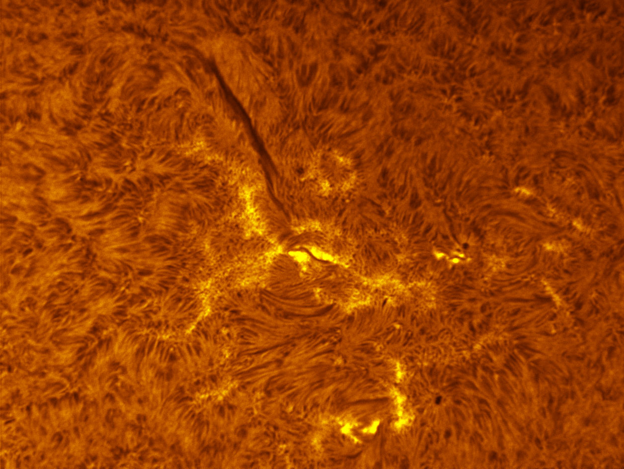 Sunspot 1376 and 1377 in h-alpha 12/18/2011