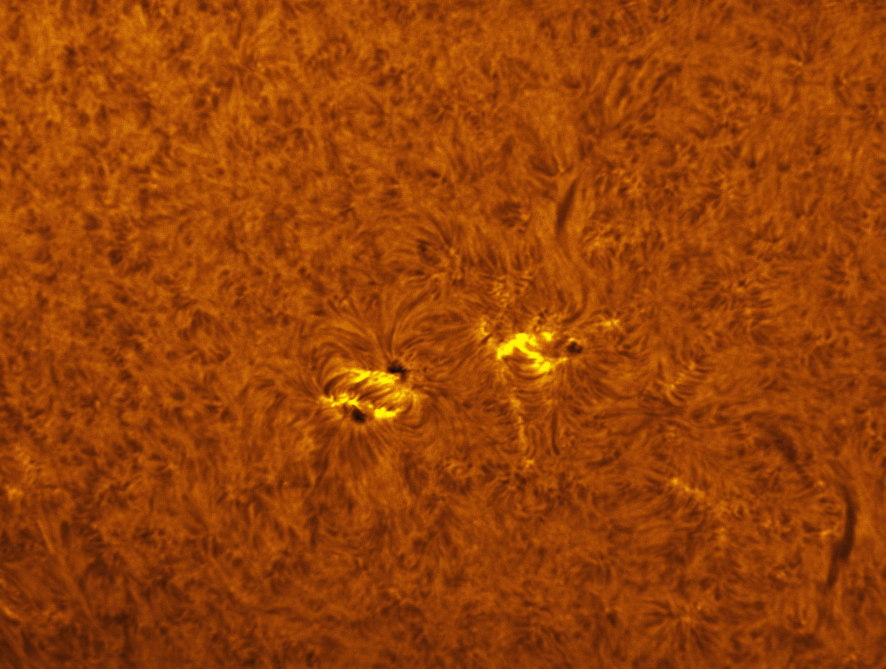 Sunspot 1380 in h-alpha 12/18/2011