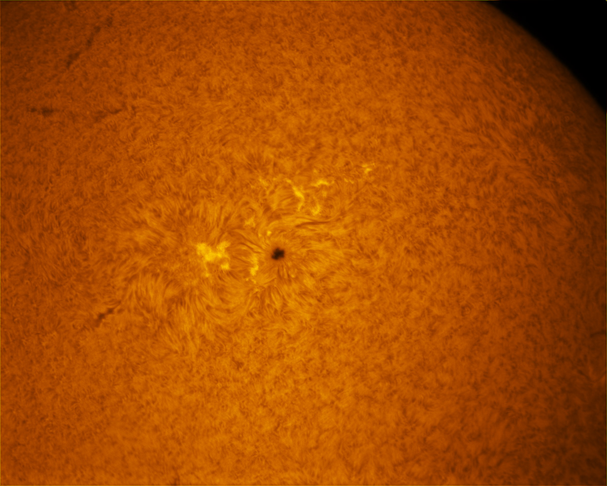 Sunspot 2470 in h-alpha 12/19/2015